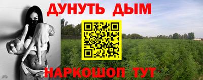 трава Будённовск