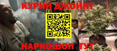 трава Будённовск
