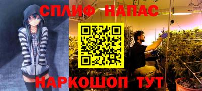 трава Будённовск