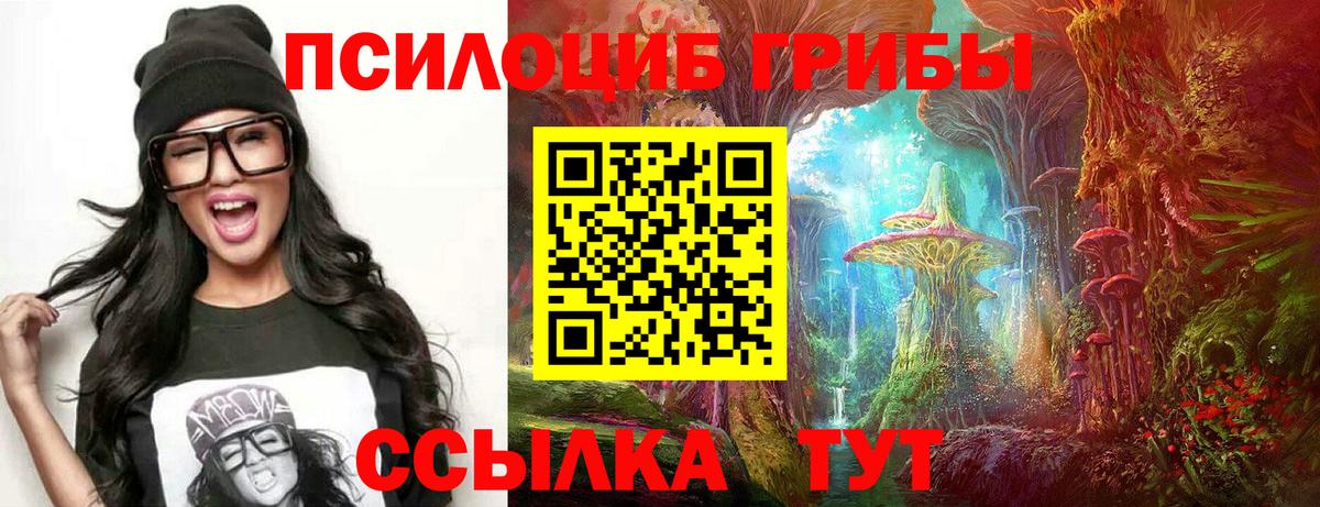 Галлюциногенные грибы прущие грибы  Вход с VPN  Псилоцибиновые грибы мухоморы  Реутов 