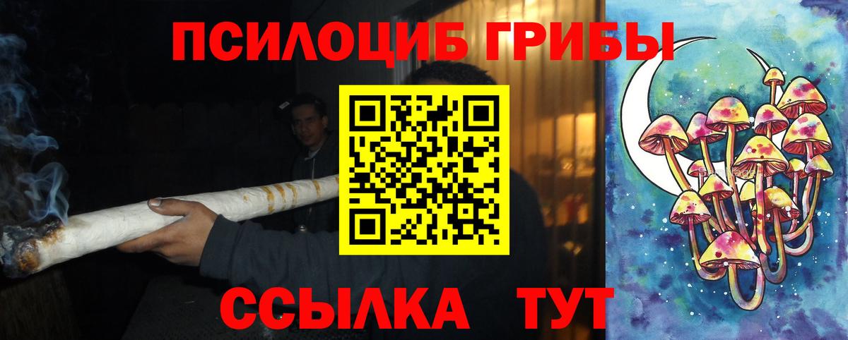 Псилоцибиновые грибы мухоморы Реутов